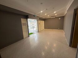 Hougang Avenue 1 (D19), Shop House #612799441